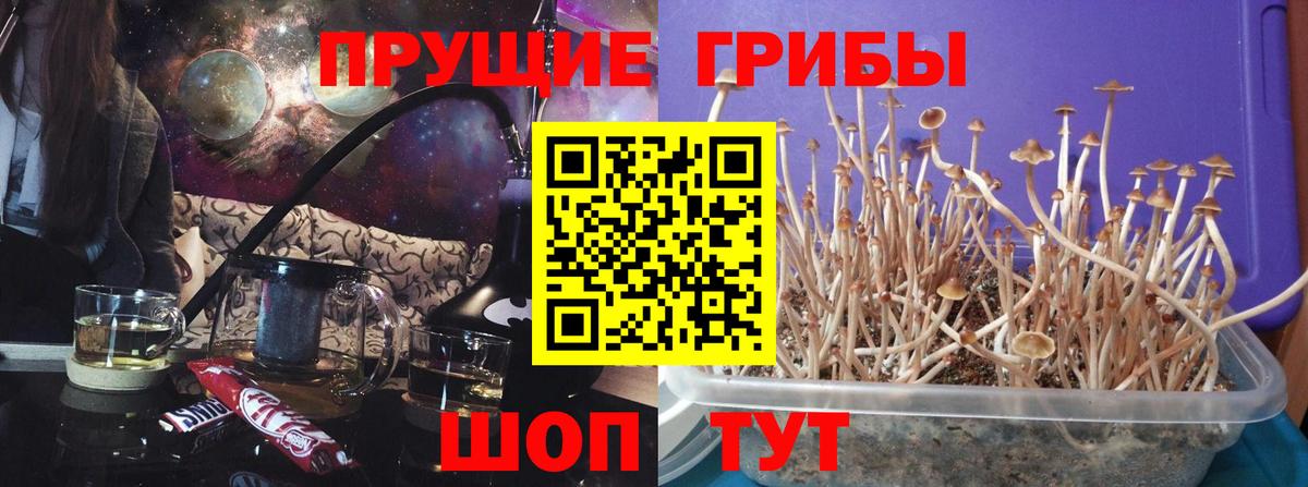 Галлюциногенные грибы MAGIC MUSHROOMS  Вход с VPN  Ступино  сколько стоит  Галлюциногенные грибы мухоморы 